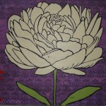 big white peony flower on purple background